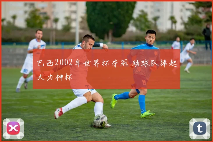 巴西2002年世界杯夺冠 助球队捧起大力神杯