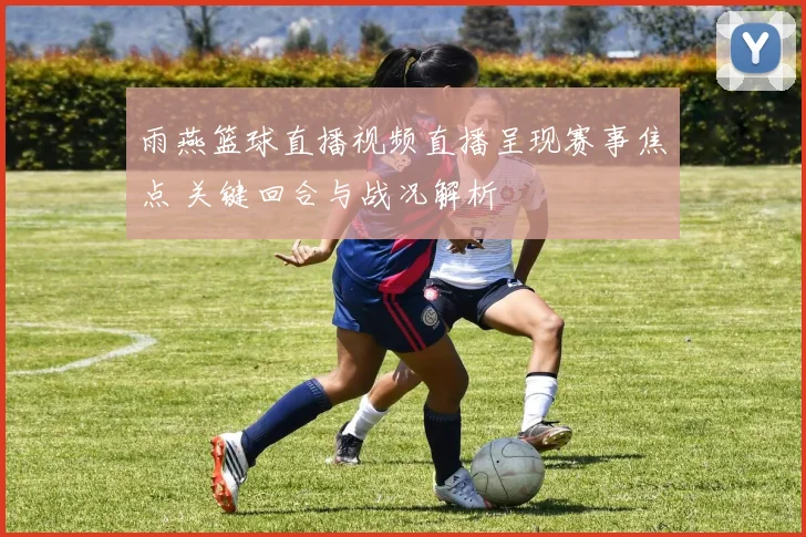 雨燕篮球直播视频直播呈现赛事焦点 关键回合与战况解析