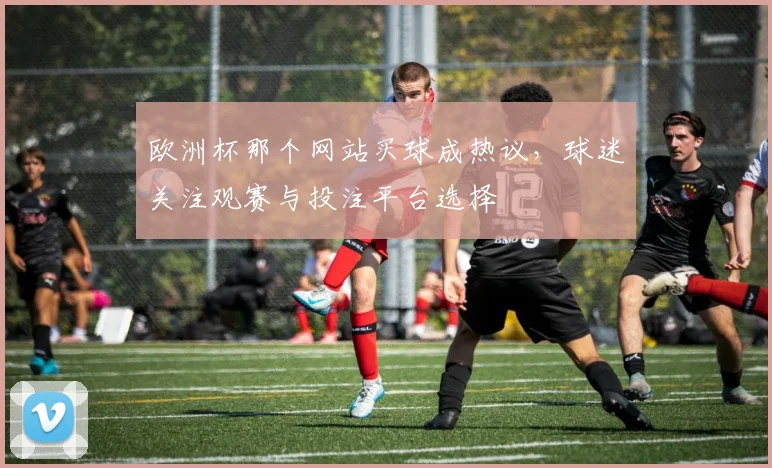 欧洲杯那个网站买球成热议,球迷关注观赛与投注平台选择