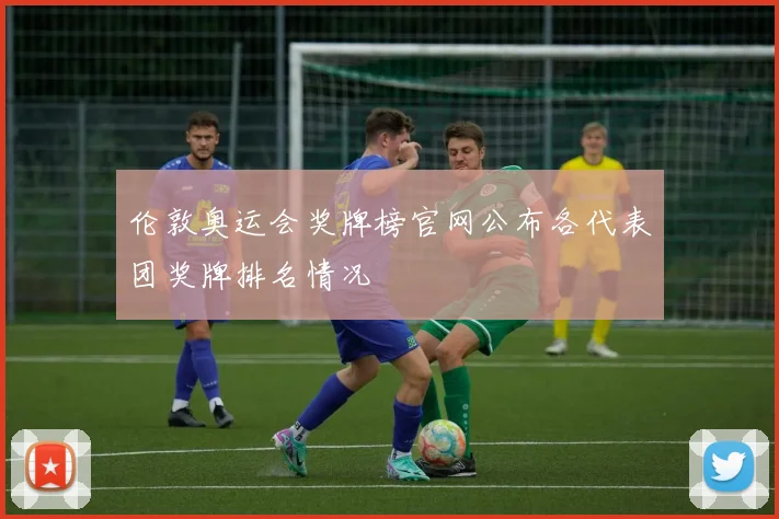 伦敦奥运会奖牌榜官网公布各代表团奖牌排名情况