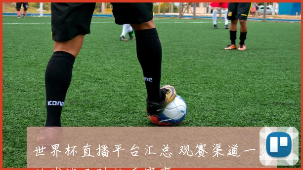 世界杯直播平台汇总 观赛渠道一览助球迷及时收看赛事