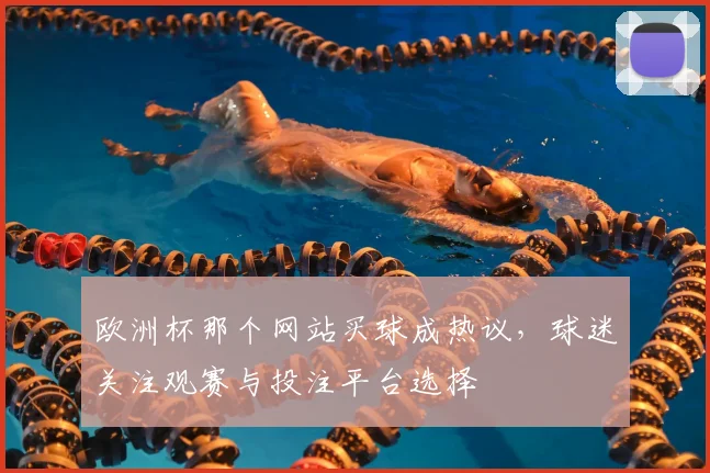 欧洲杯那个网站买球成热议,球迷关注观赛与投注平台选择