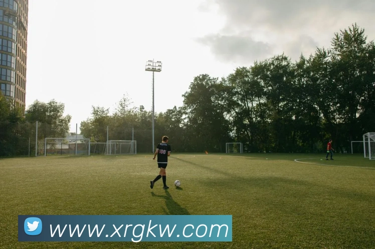 云开体育app官网入口登录网页版服务体系